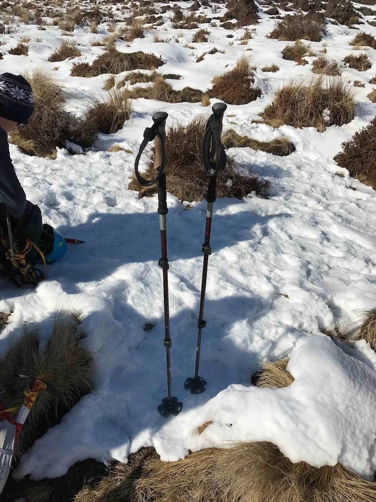 Trekking poles ideally with snow baskets