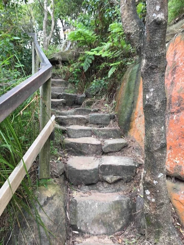 Steps along the well formed route