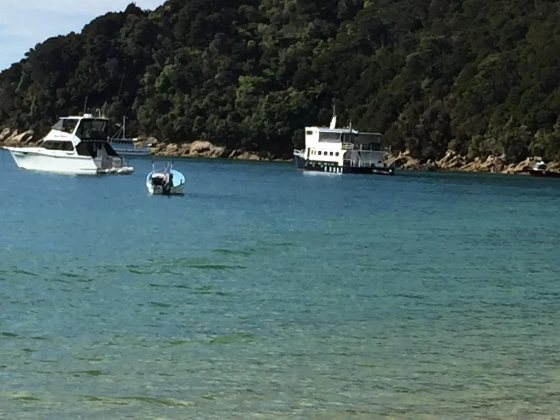 boat moored in a bay