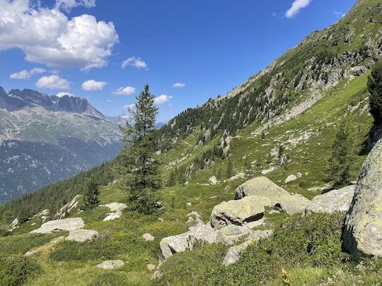 swiss mountain-side trail