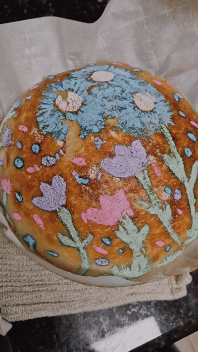 VID_20260417_222852_807.mp4.gif