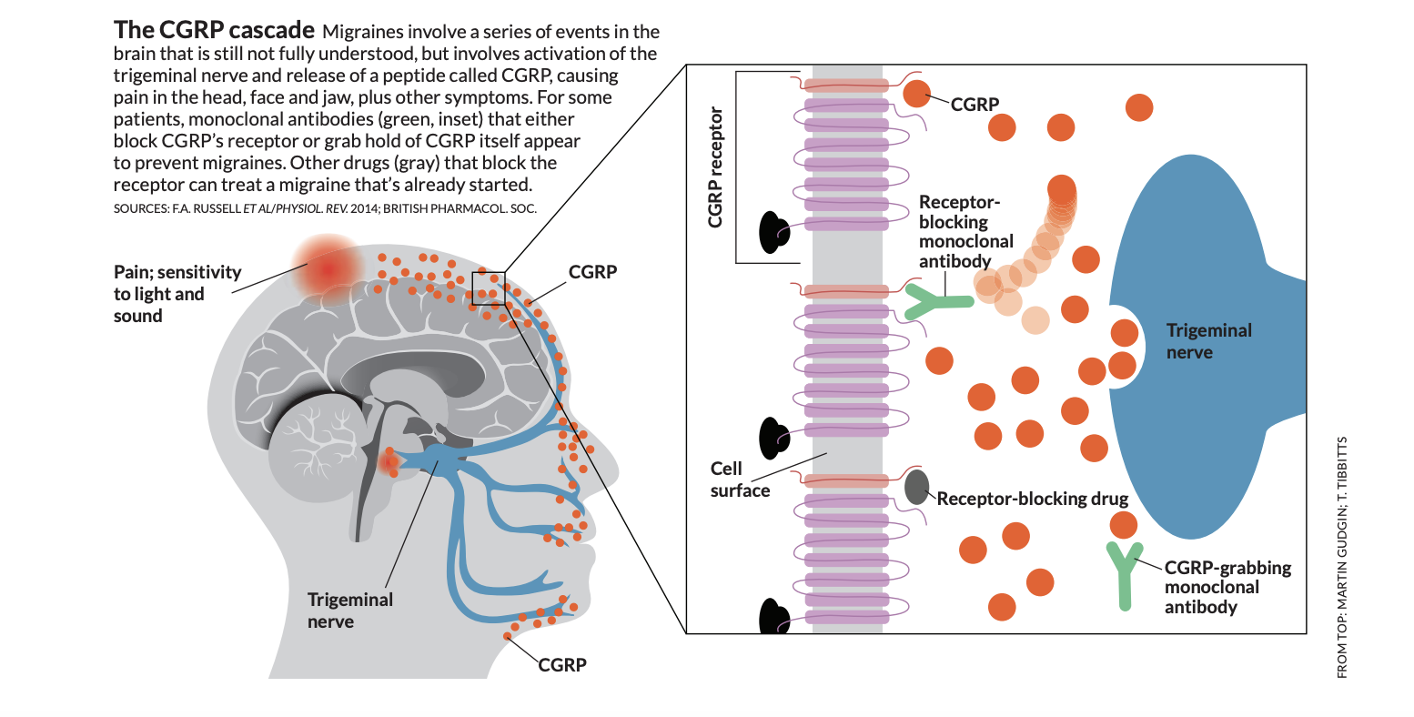 Screenshot 2026-01-18 at 1.57.02 AM.png