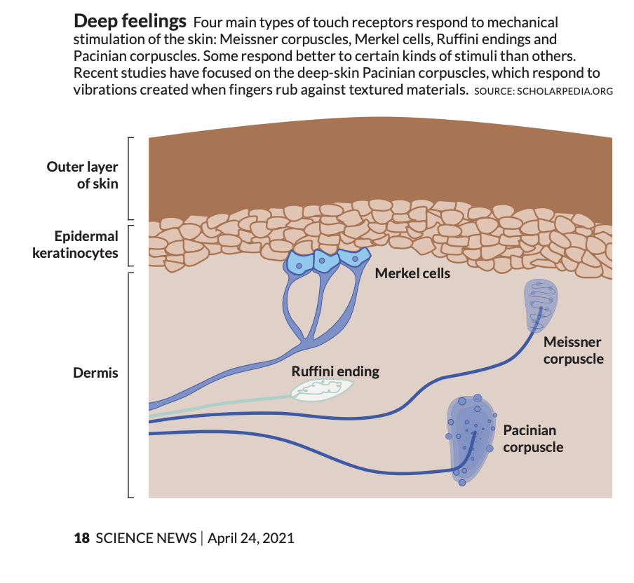 Screenshot 2026-01-18 at 1.56.12 AM.png