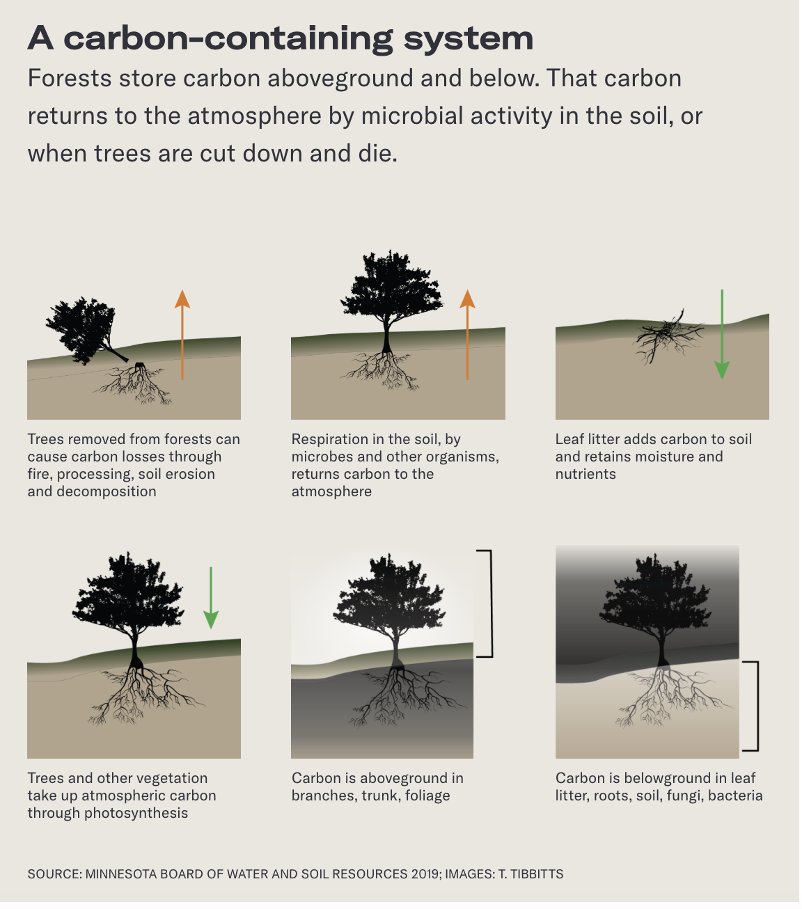 Screenshot 2026-01-18 at 1.53.56 AM.png