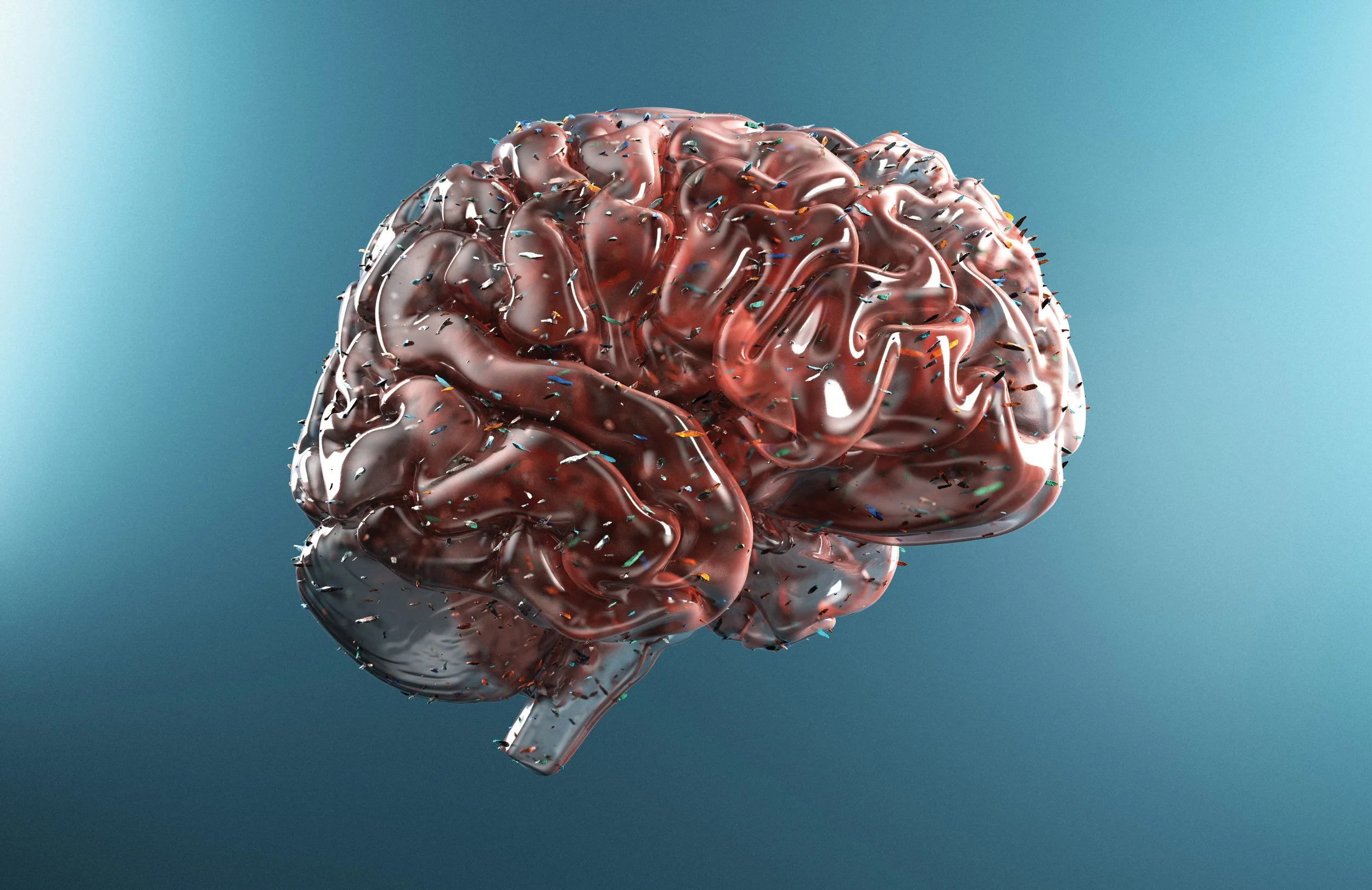 Plastic shards permeate human brains | illustration by hitandrun studio
