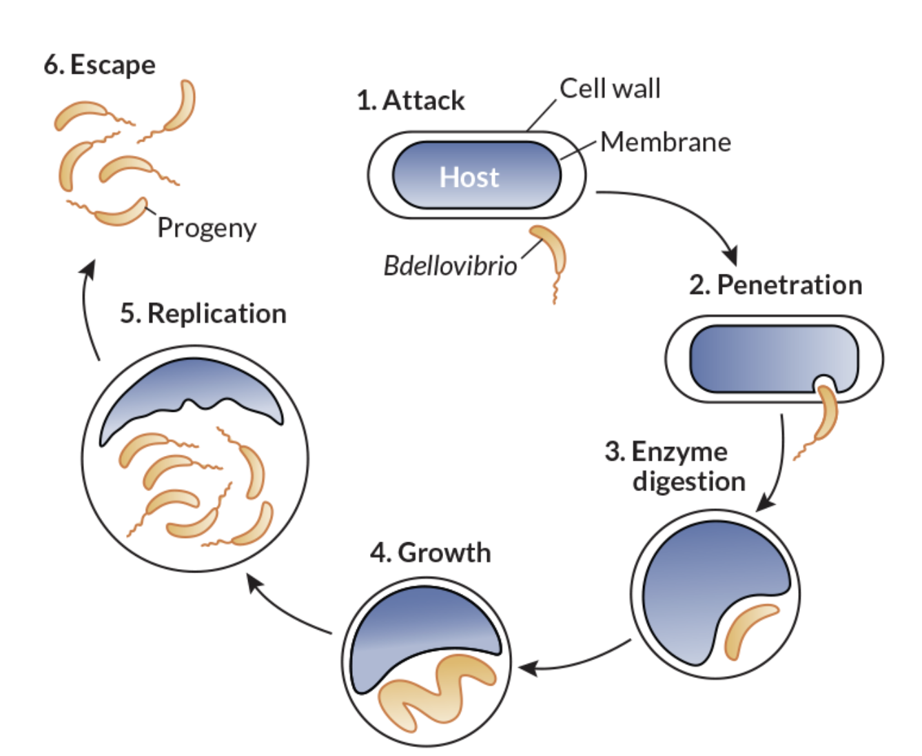 Screen Shot 2022-04-19 at 7.30.57 PM.png