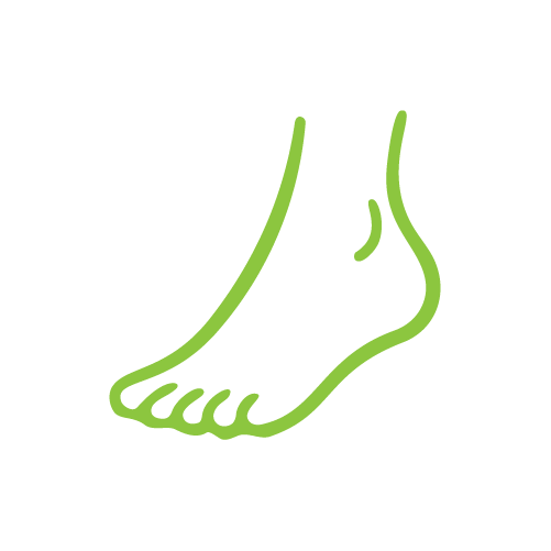 Line drawing of a human foot with toes, outlined in green, used for our chiropody services.