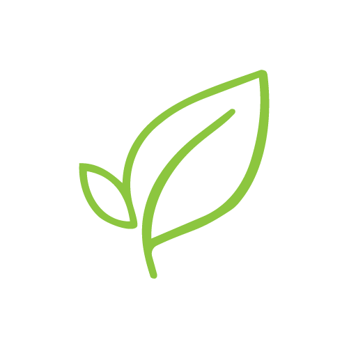Green outline drawing of two leaves, one larger and one smaller, used for our naturopathic medicine services.