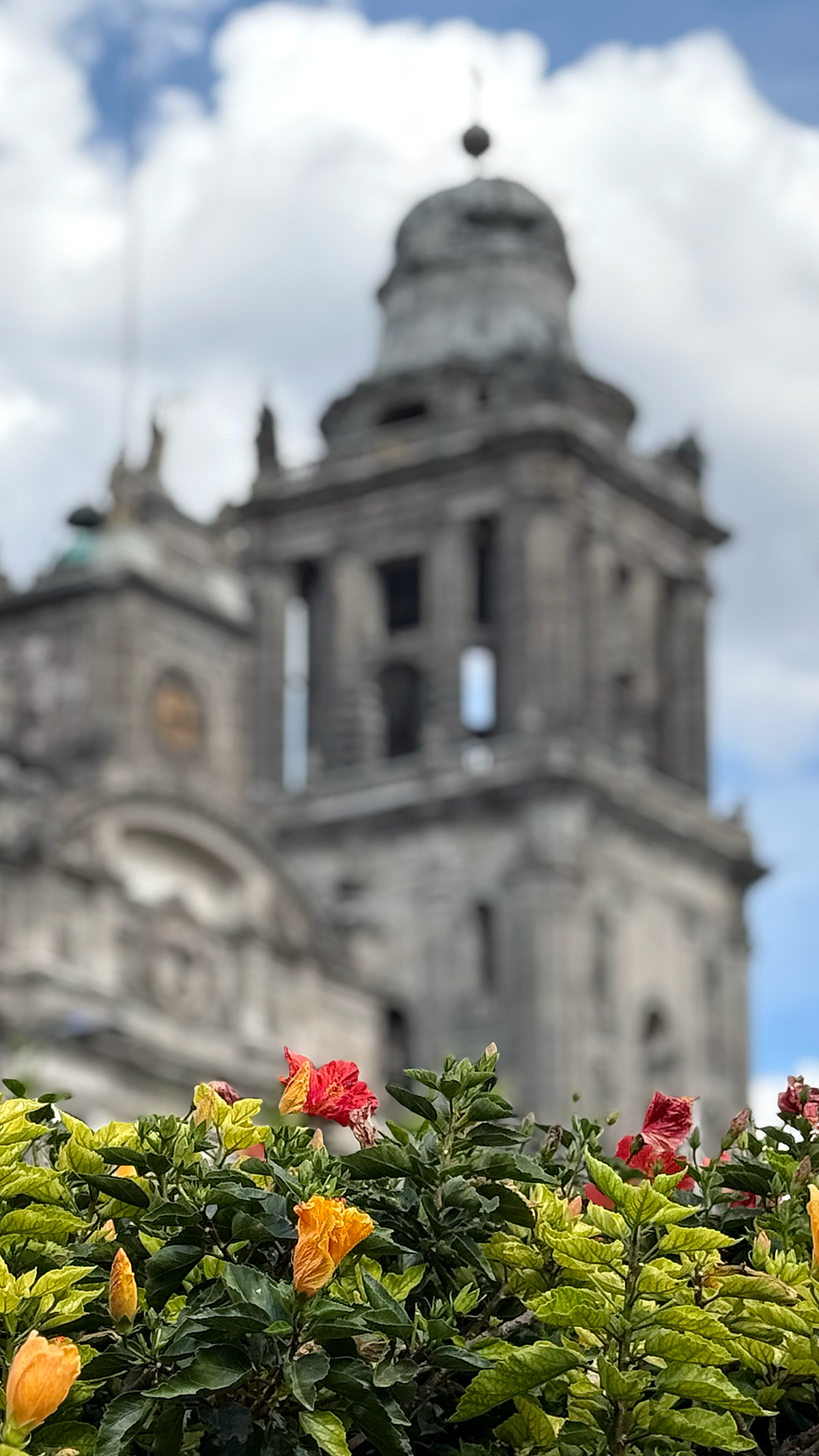 Colorful flowers in the foreground with a historic building with a dome and clouds in the background.