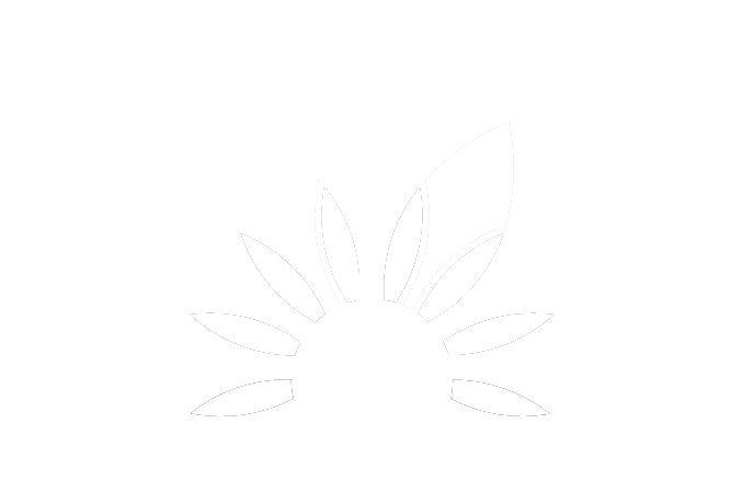 Silhouette of a stylized sunflower with a rounded center and pointed petals against a black background.