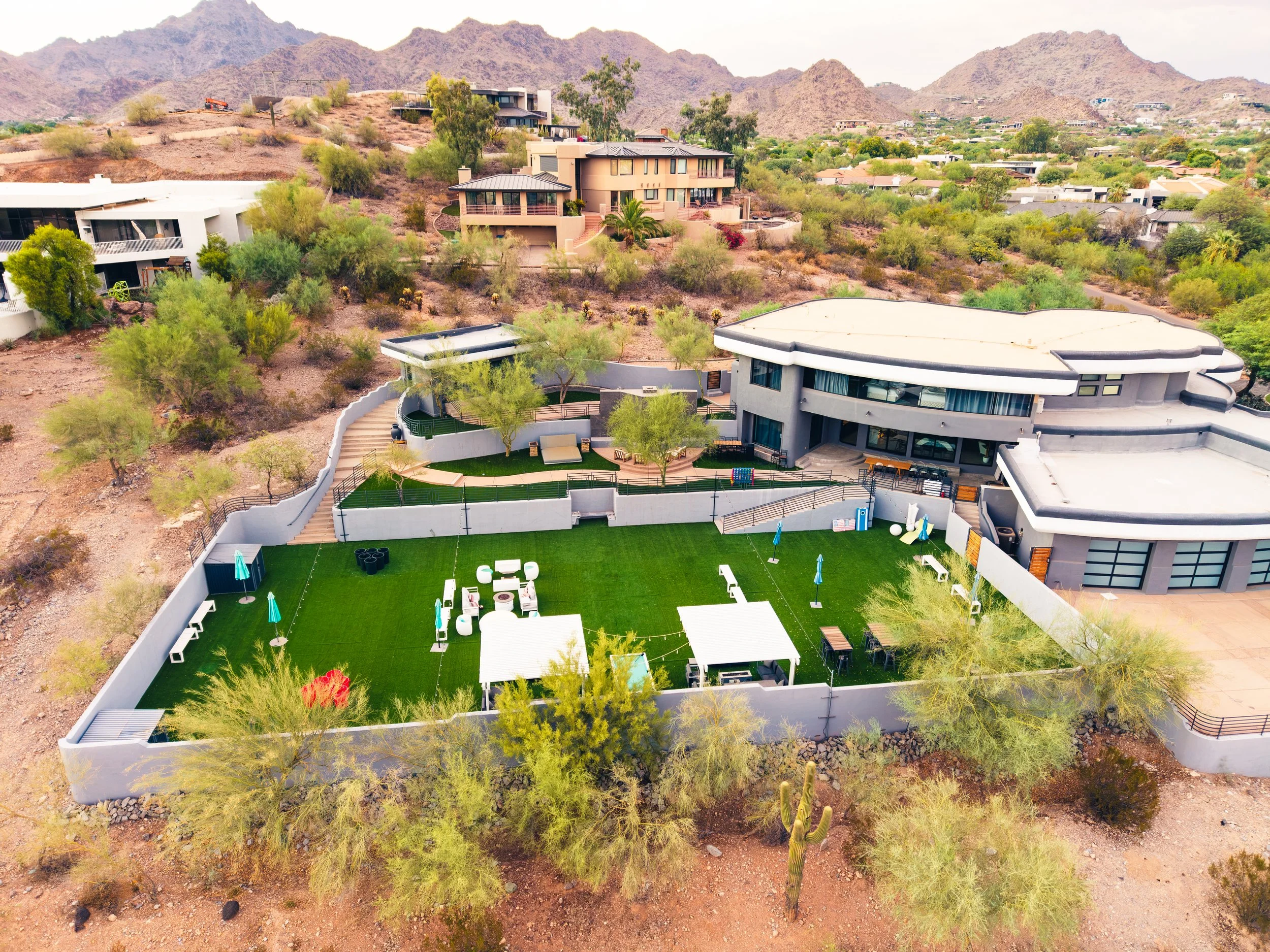 Palo Verde Paradise Valley