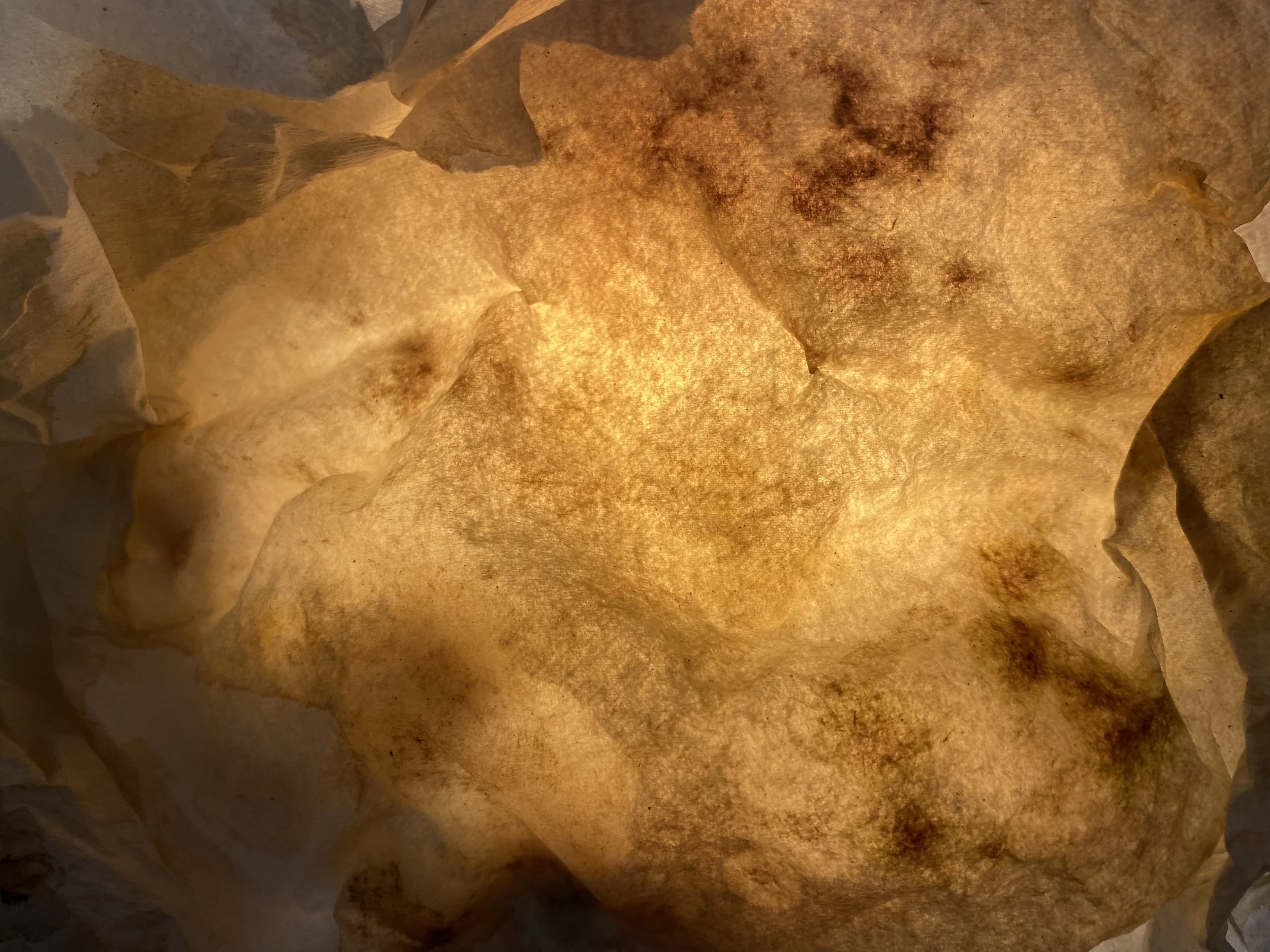 Close-up view of a material in development.