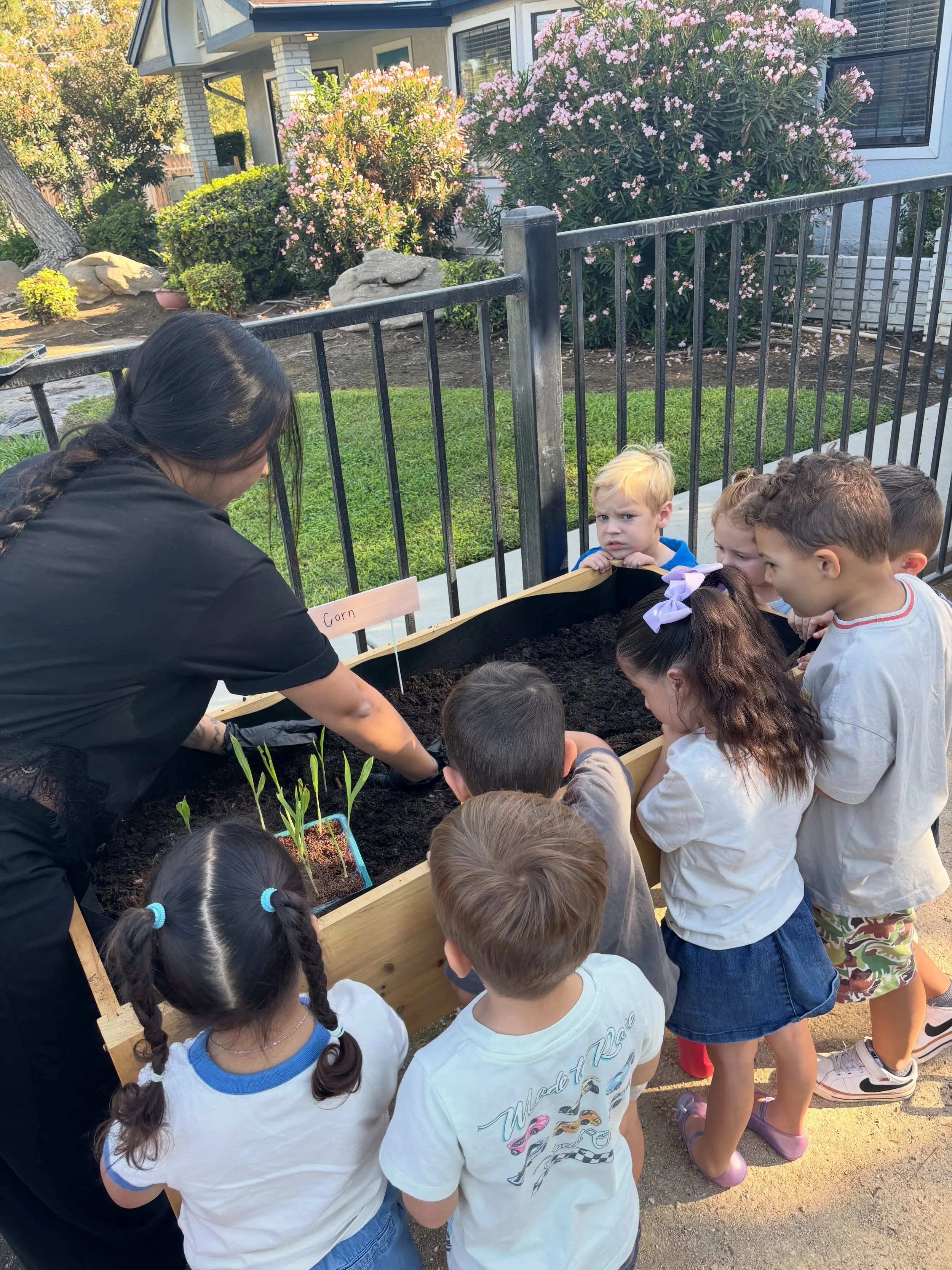 Our first few crops of the year have been planted 🌽🥦