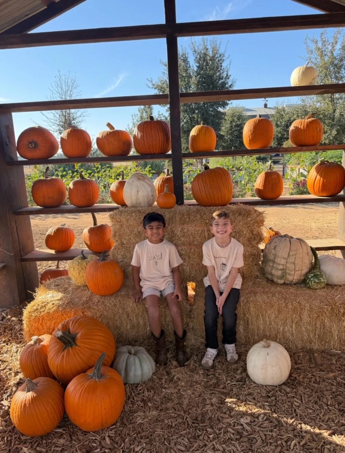 Our first kinder field trip of the year! Thank you @sweetthistlefarms for a fun filled morning 🌽