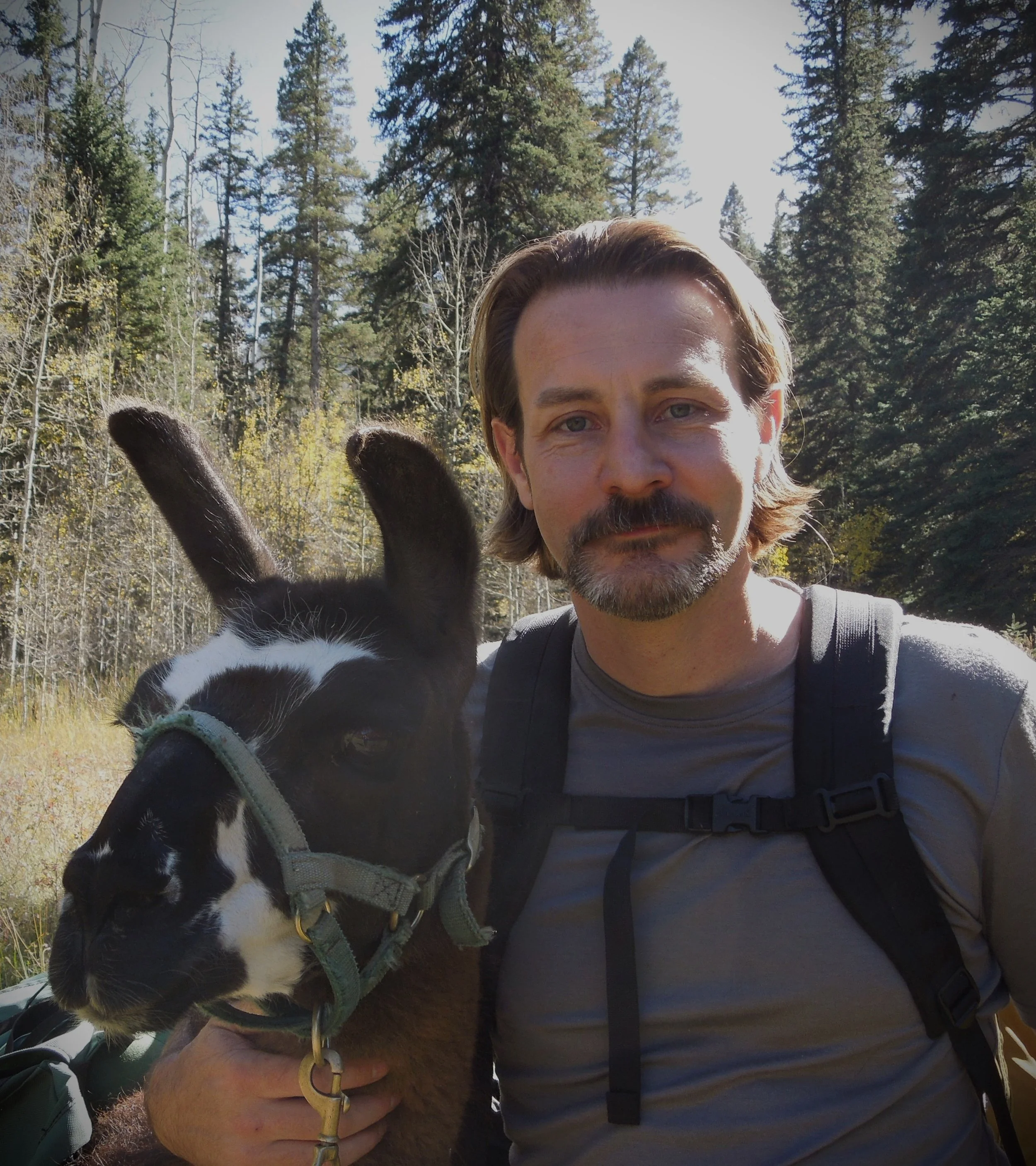 A man with shoulder-length brown hair, a beard, and wearing a gray shirt and a backpack, is with a llama during a llama trekking adventure. They are outdoors in a forest, with tall evergreen trees and clear blue sky in the background.