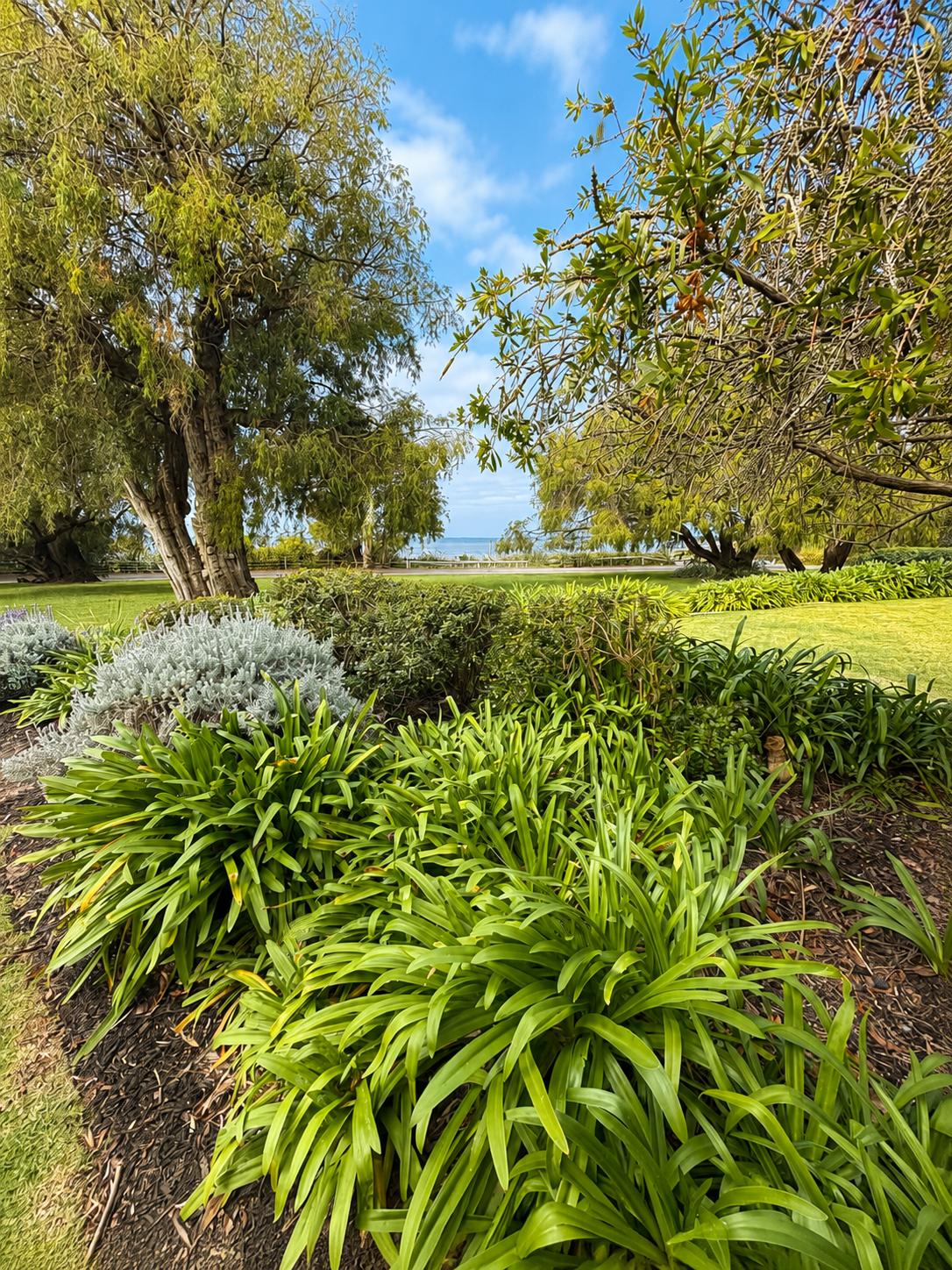 lharmone garden.PNG