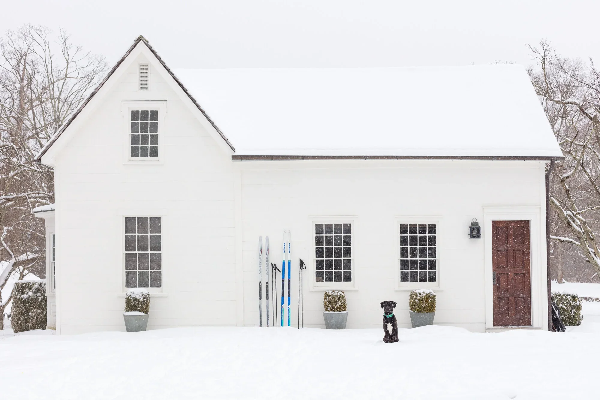 White house with snow-covered roof and yard, ski poles leaning against the house, a black dog sitting in the snow, leafless trees in the background, and snow falling.