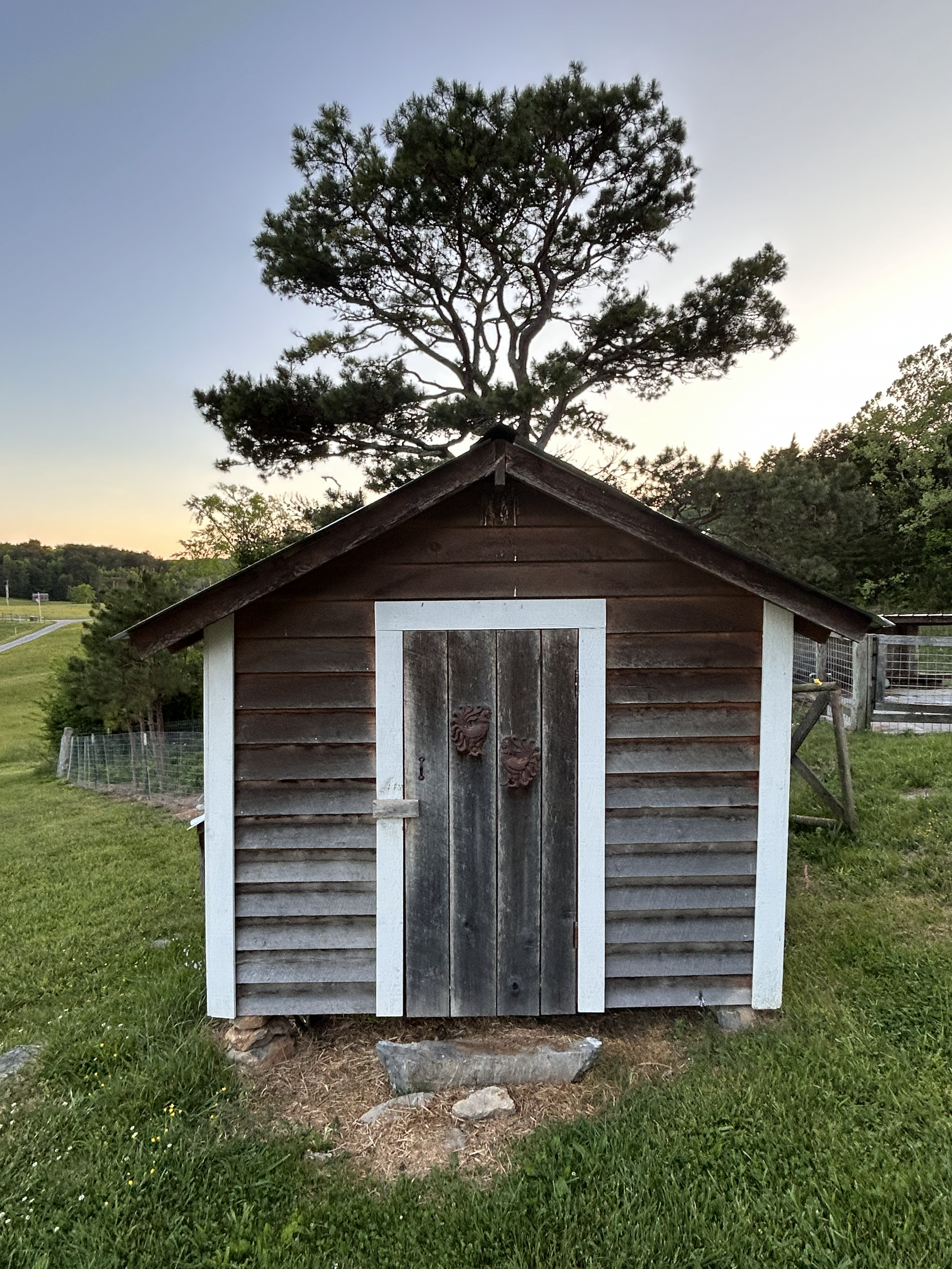 A small wooden chicken coop with a decorative door, situated on a grassy area with trees and a large tree in the background, during early evening.