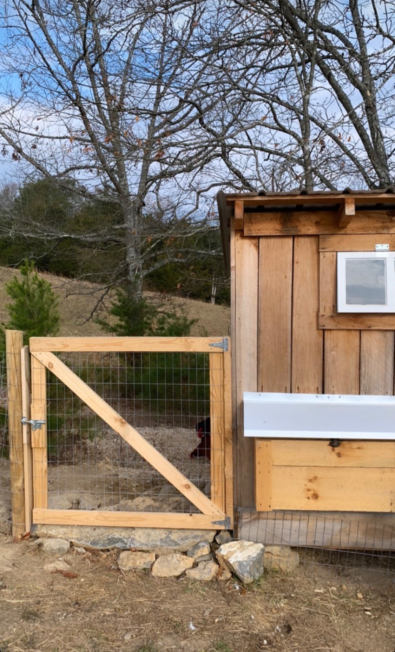 Wooden chicken coop with a small fence and gate, next to a large tree with bare branches, in a rural outdoor setting.