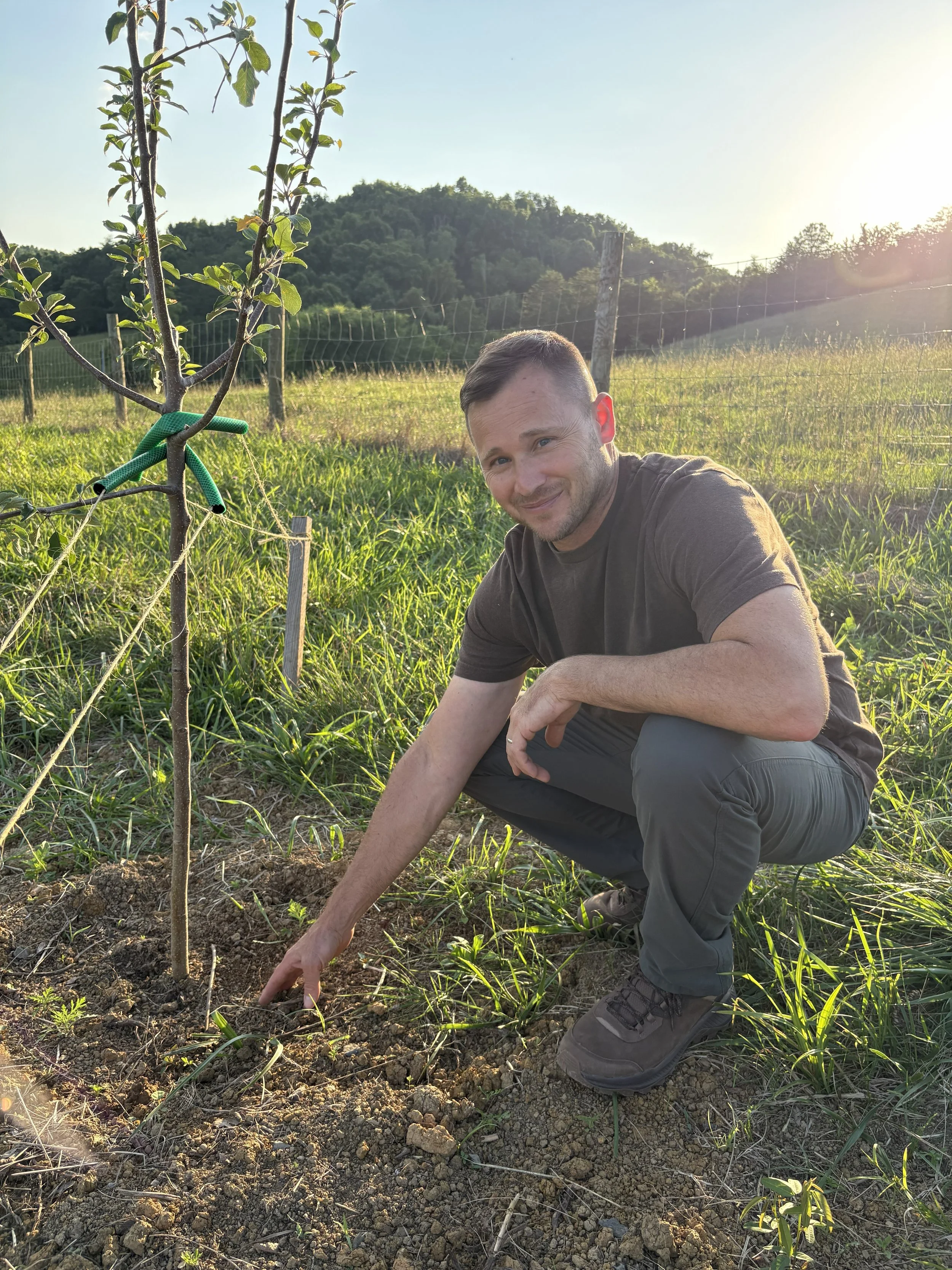 A man crouching outdoors next to a young tree, planting or tending to it during late afternoon or early evening, with sunlight setting behind a distant hill and a wire fence in the background.
