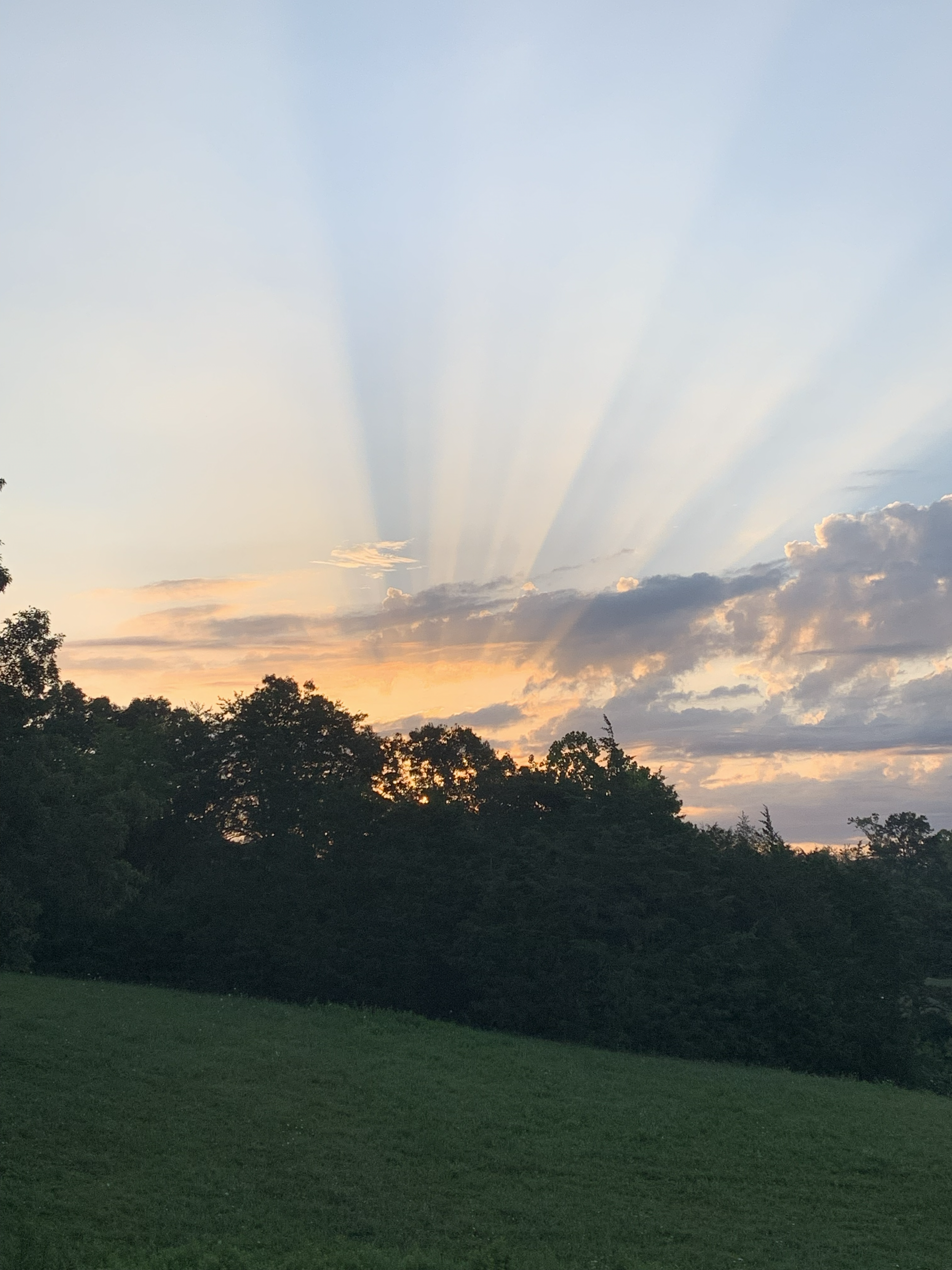 A scenic view of the sunset with beams of light radiating through the clouds, a dark silhouette of trees and a grassy area in the foreground.