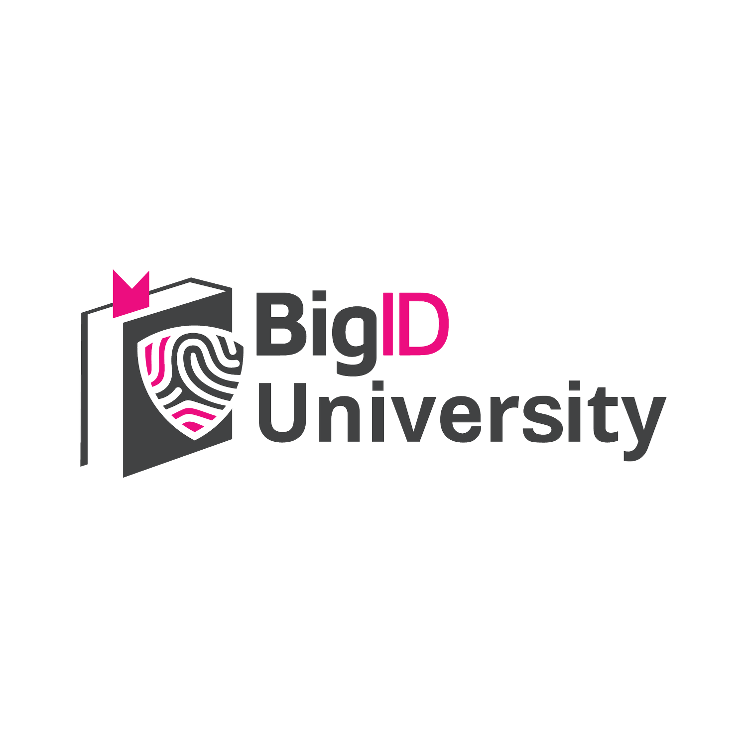 BigID+Univeristy+Book+Logo_Final+Full+Color+++Text.webp