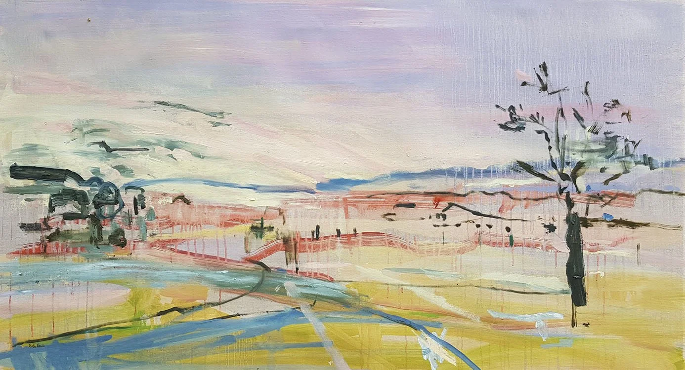 Killarney landscape (QLD), 2022