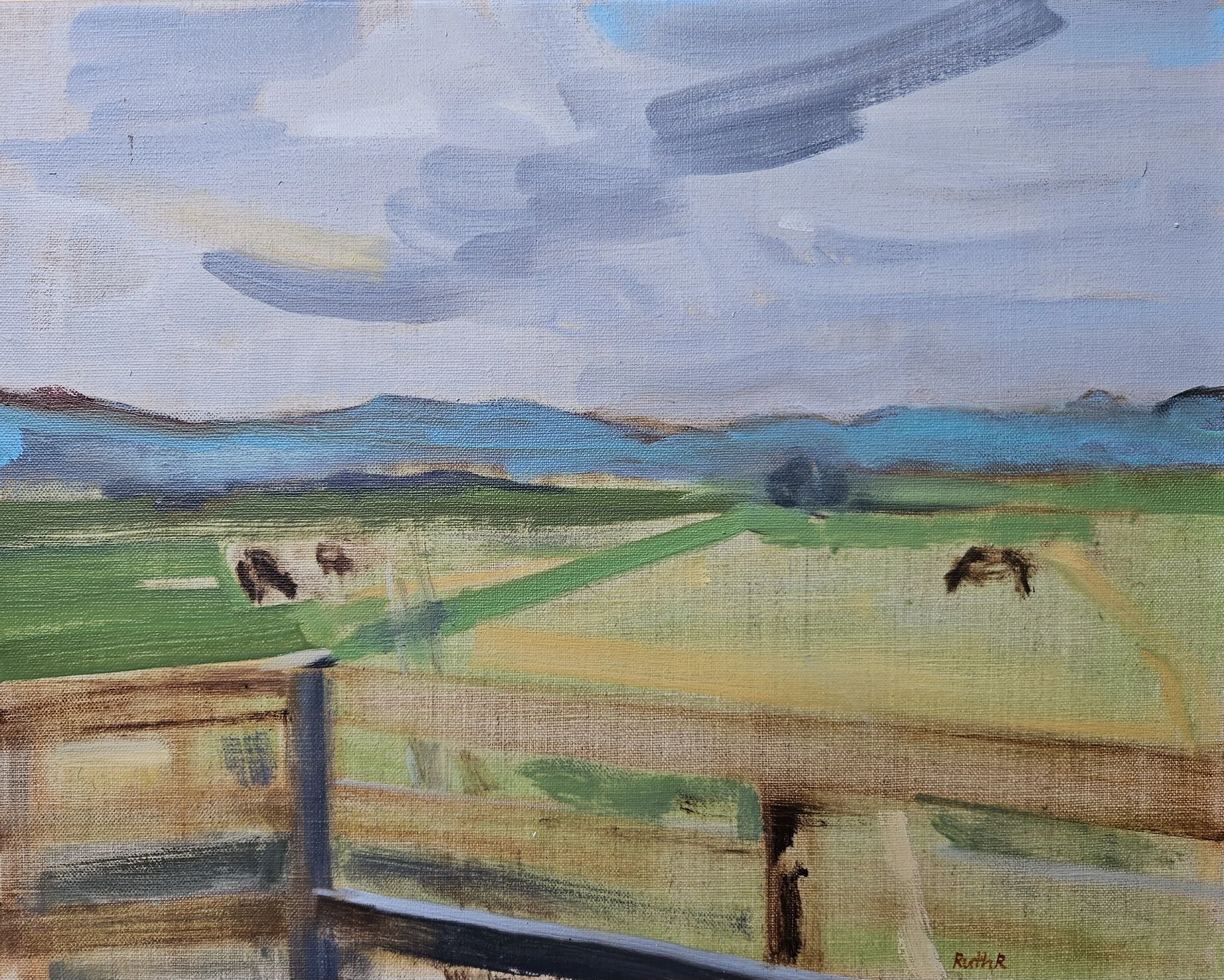 Fence line corner and cows, 2026 