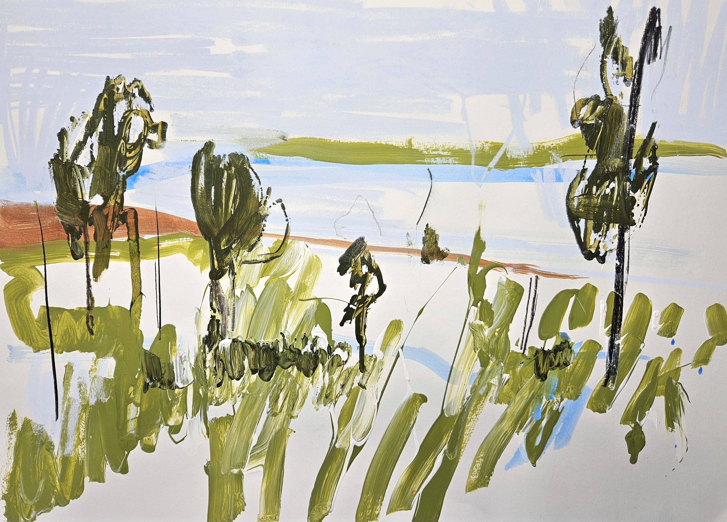 Trees in NT landscape, 2024
