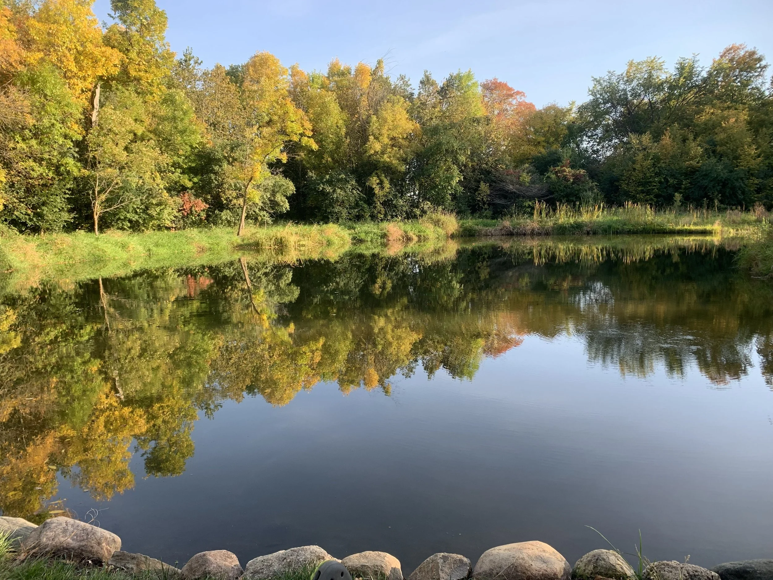 Calm river reflects surrounded trees with autumn foliage; rocks at the riverbank in the foreground under a clear blue sky.