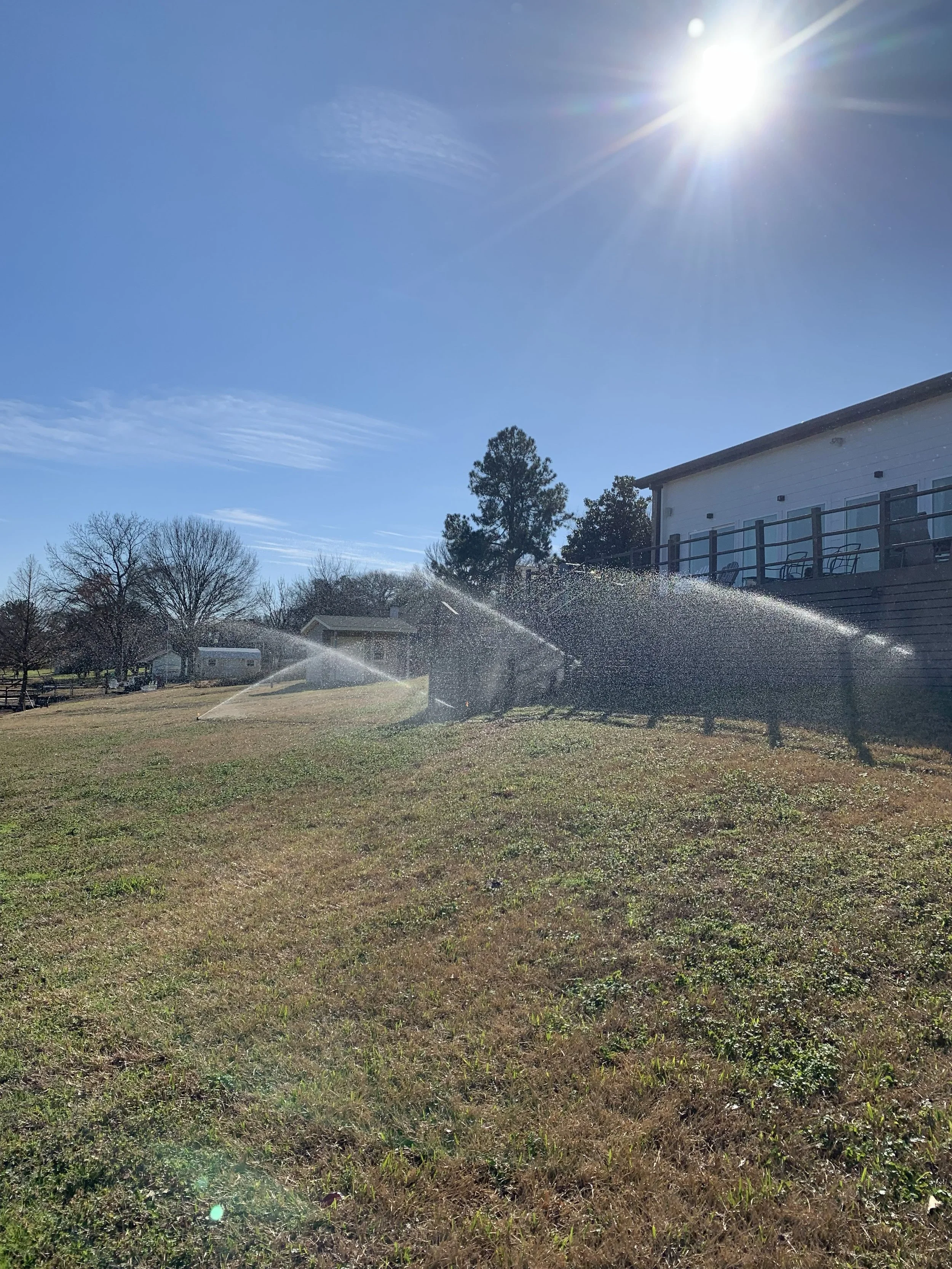 A backyard lawn with a sprinkler watering the grass, a house with a deck, trees, and a bright sun in the sky.