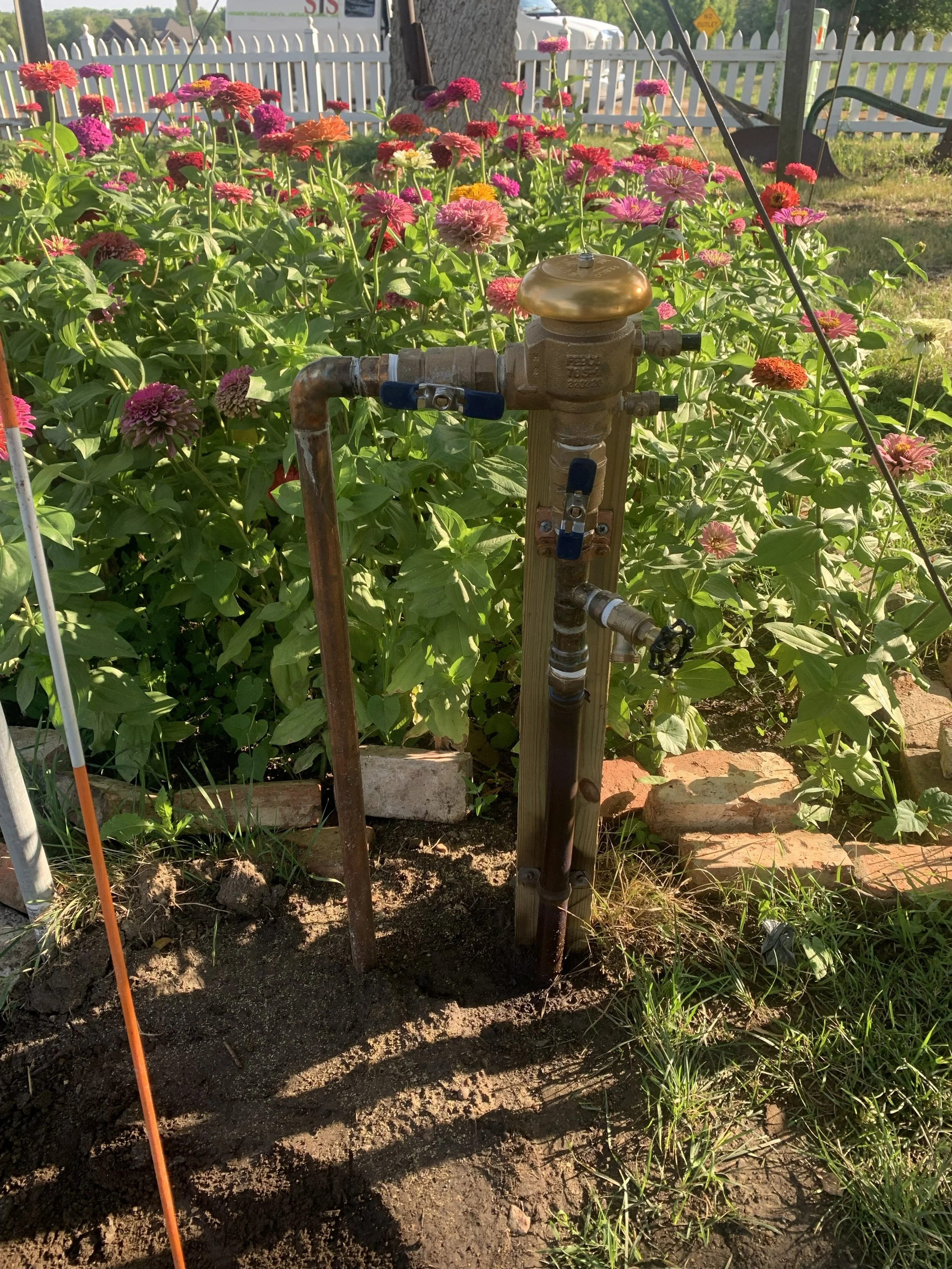 A garden with blooming pink, orange, and purple flowers and a water meter in the foreground, surrounded by a white picket fence.