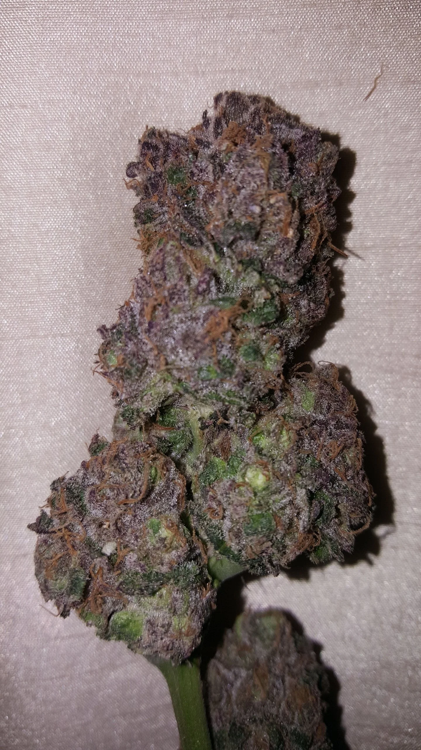 Grape Cake