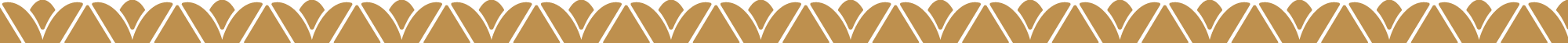 Decorative border with a repeated scalloped pattern in gold, black, and brown colors.