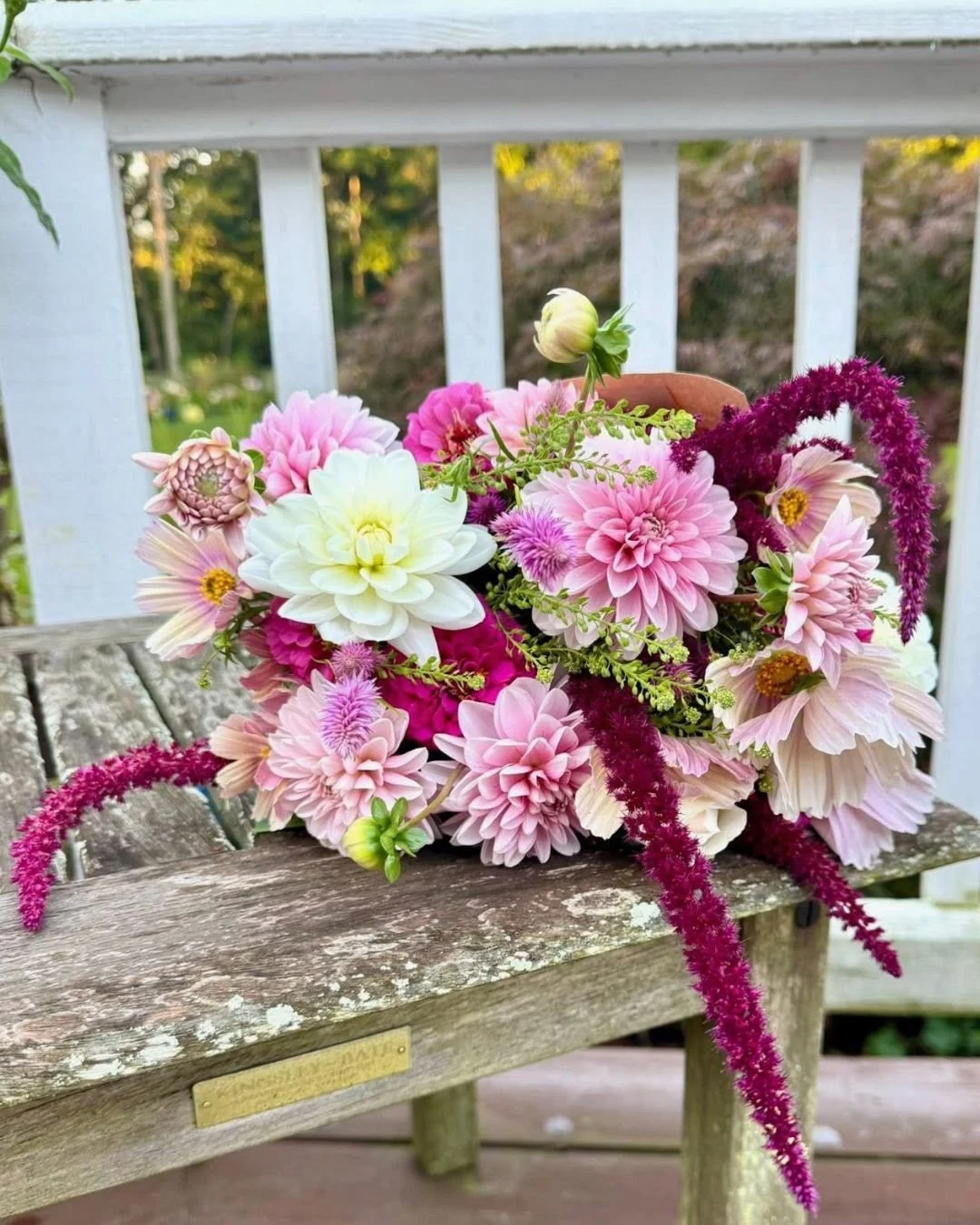 Untitled design-2.jpg