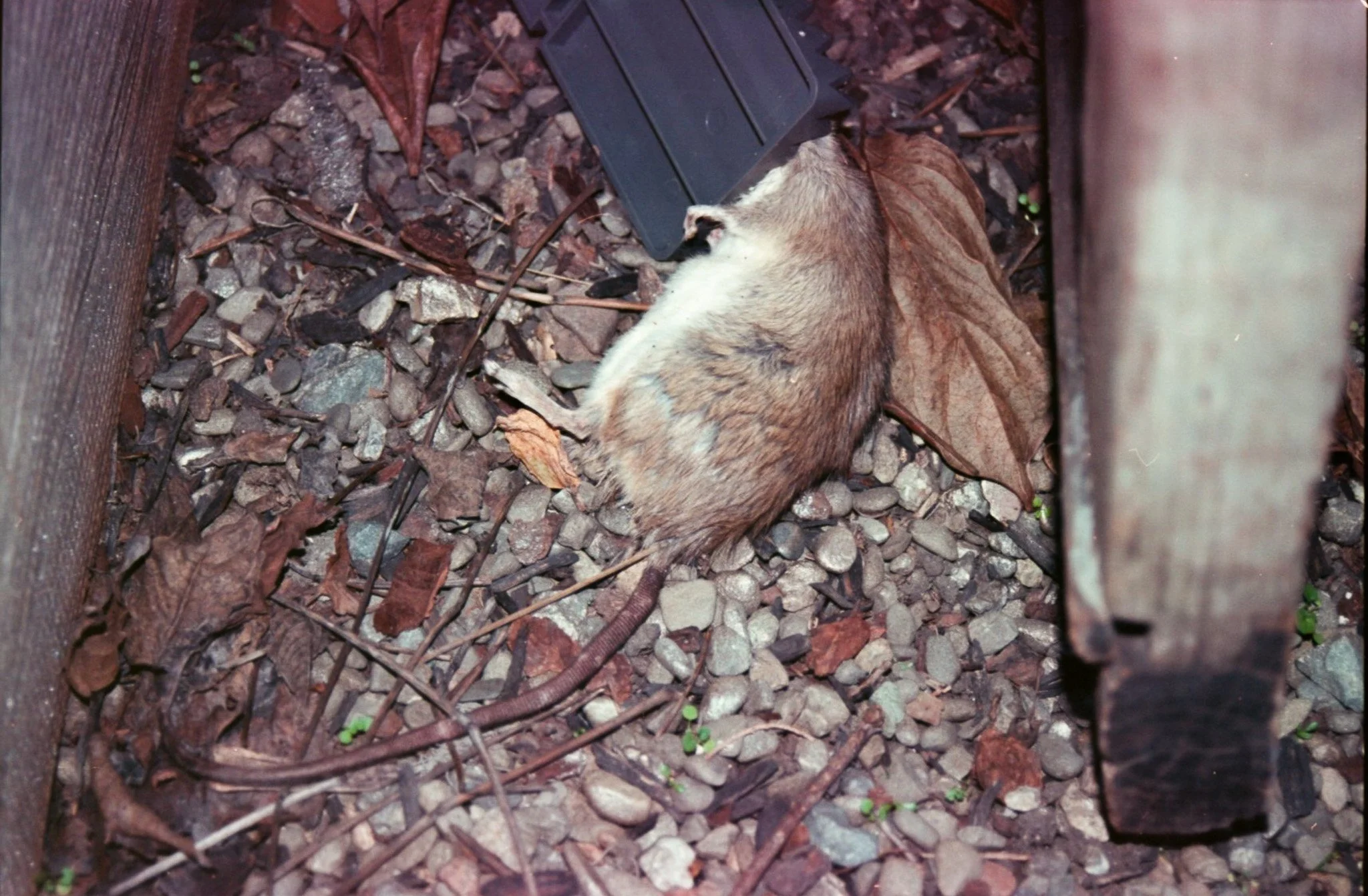 img20260306_16572614.jpg
