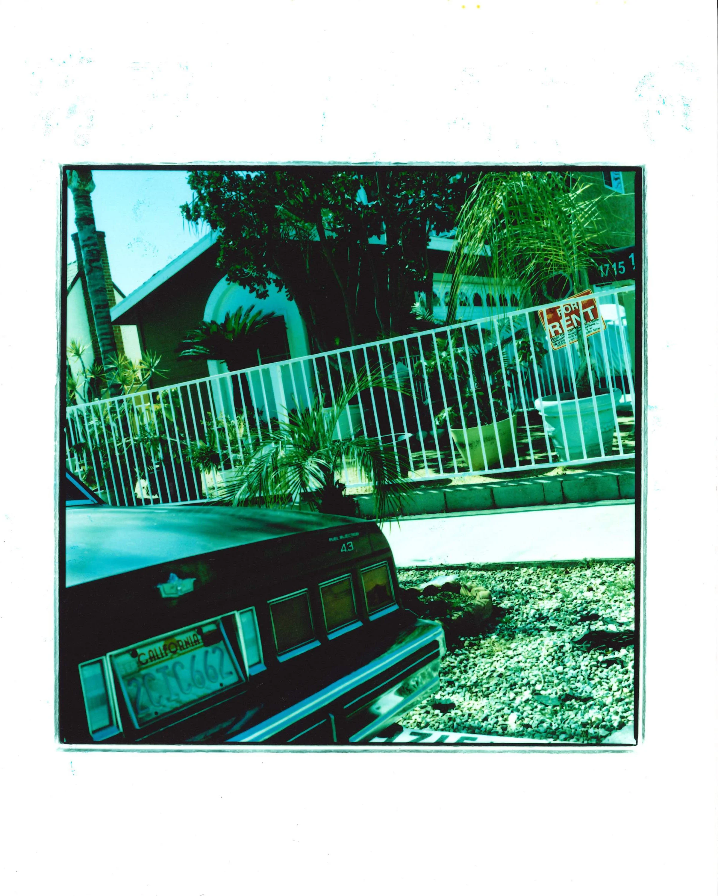scan25.jpg