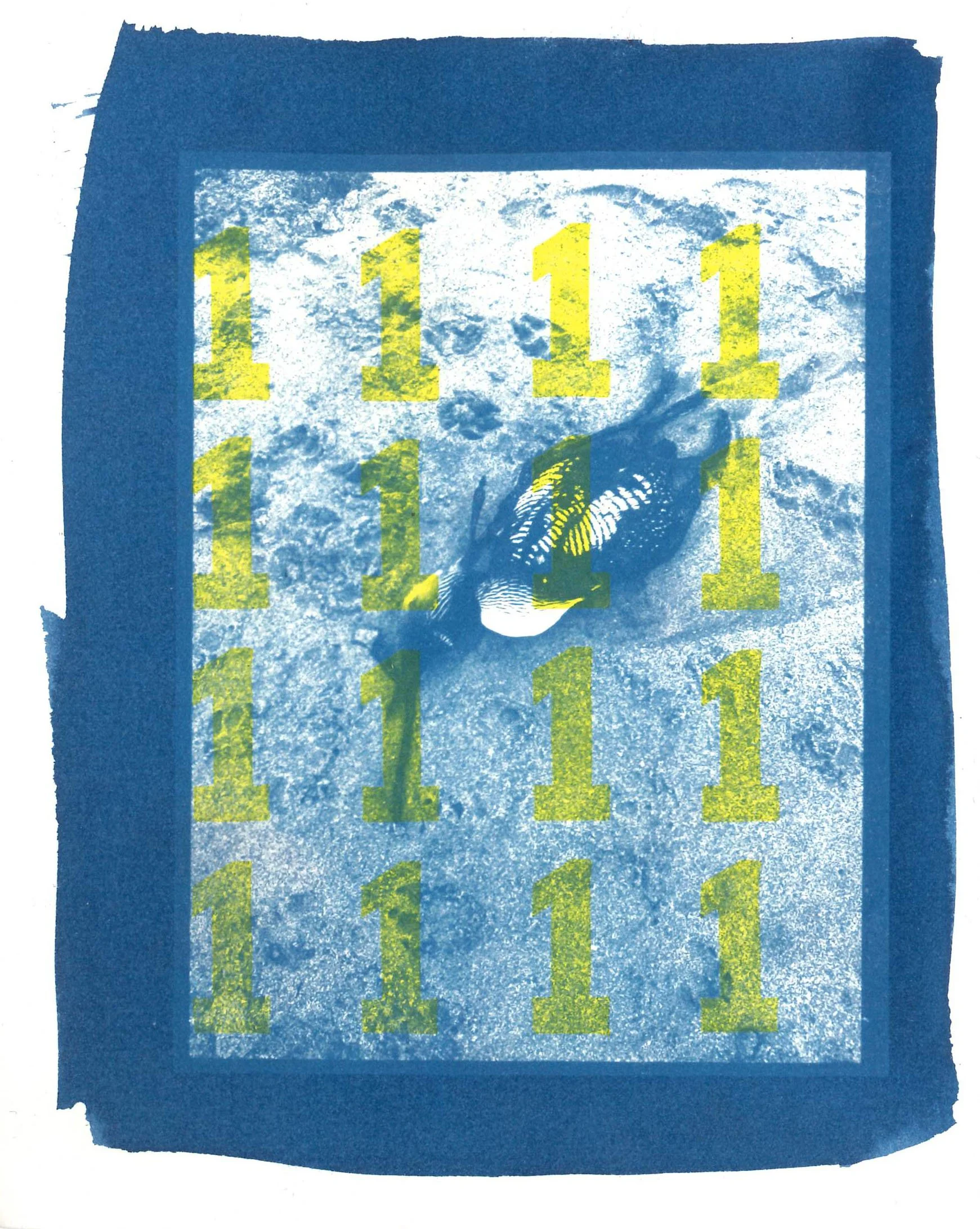 scan8.jpg