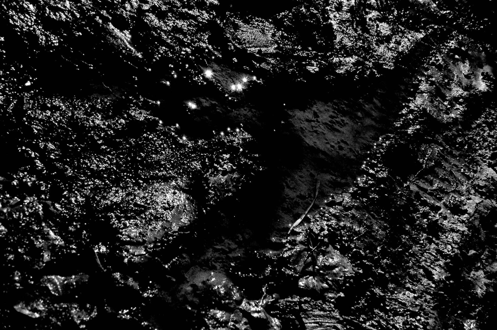 mudpuddle.jpg