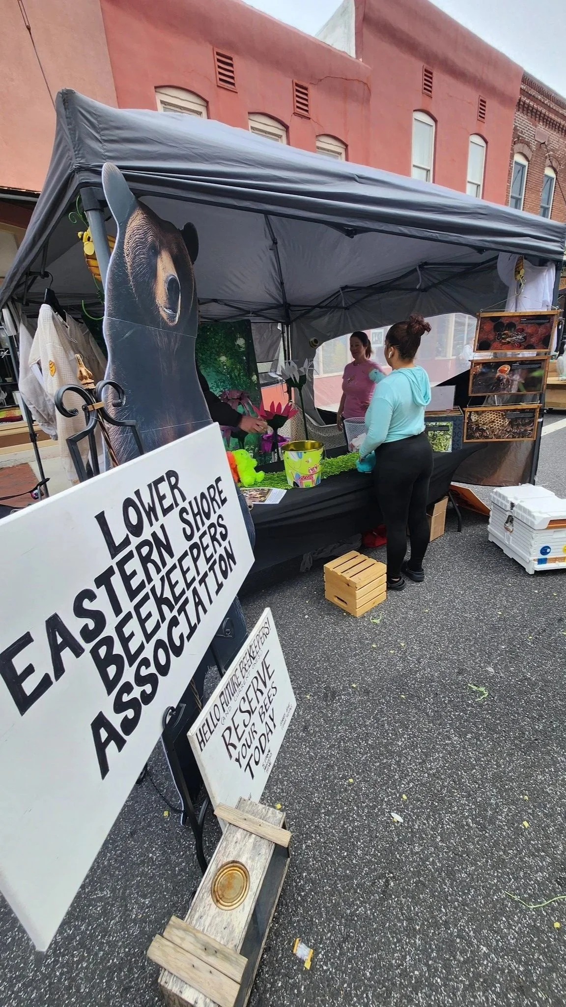 A street market booth with signs for the East Area Beekeeper's Association, featuring a large bear poster and frames of bees and honey products, with people browsing.
