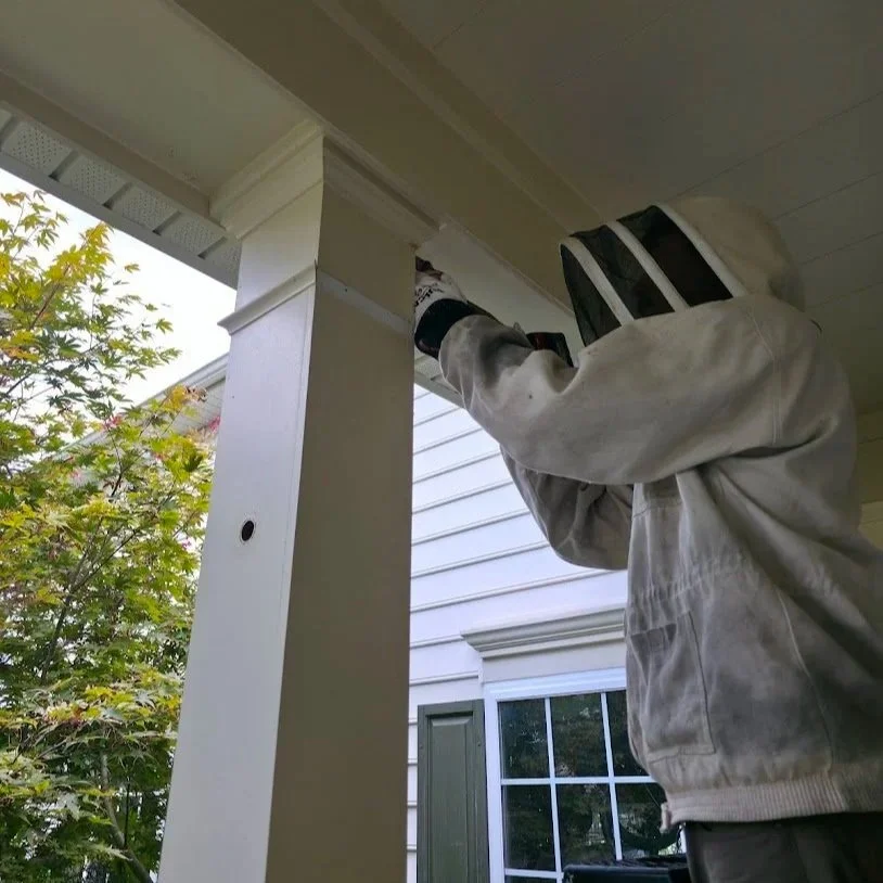 A person in a protective suit with a welding mask is working on the corner of a house's porch ceiling.