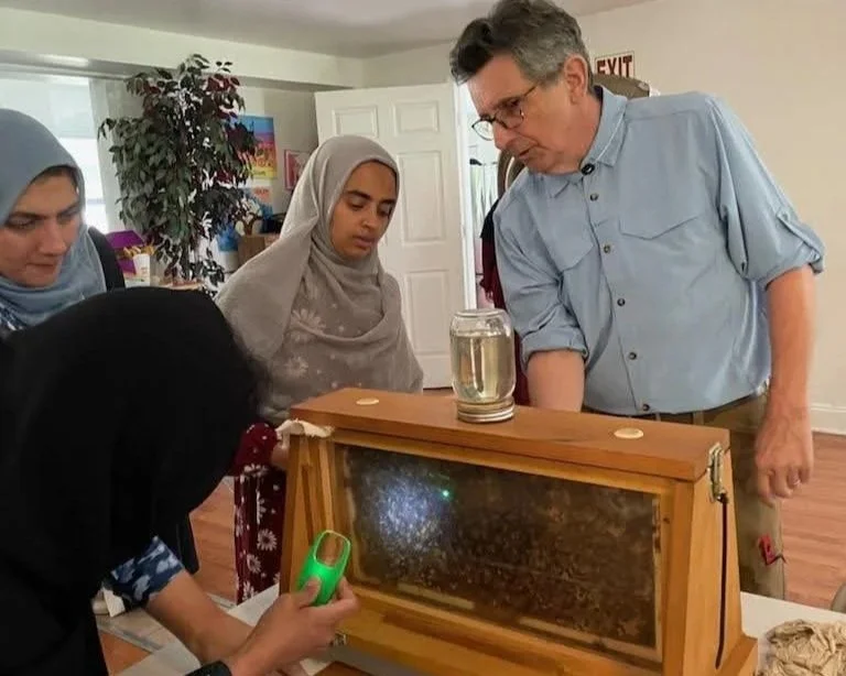 A group of people observing a scientific experiment involving a sealed wooden box with a glass of water on top. One person is holding a green laser pointer directed at the box.
