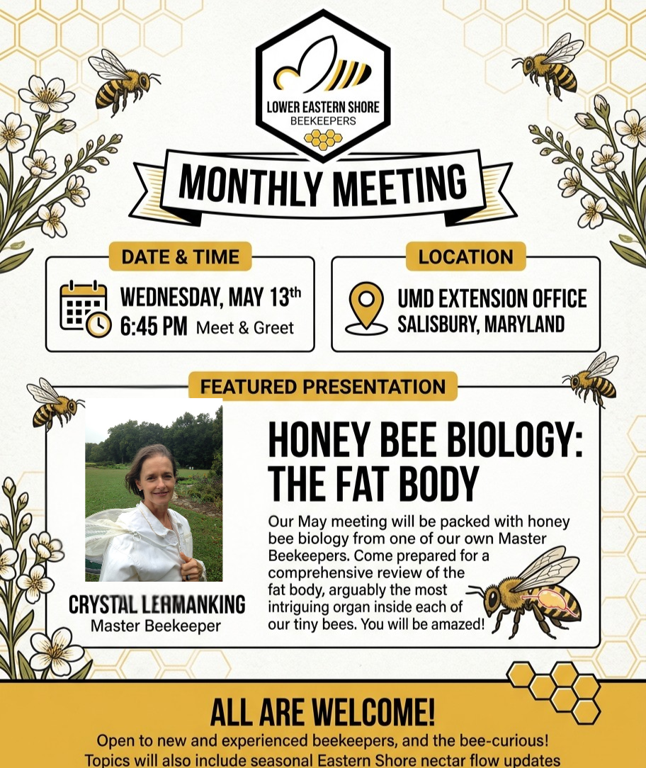 Flyer for Lower Eastern Shore Beekeepers Monthly Meeting featuring a presentation on honey bee biology by Crystal Lemankin, with bees and honeycomb graphics, and details about the date, time, location, and welcome message.