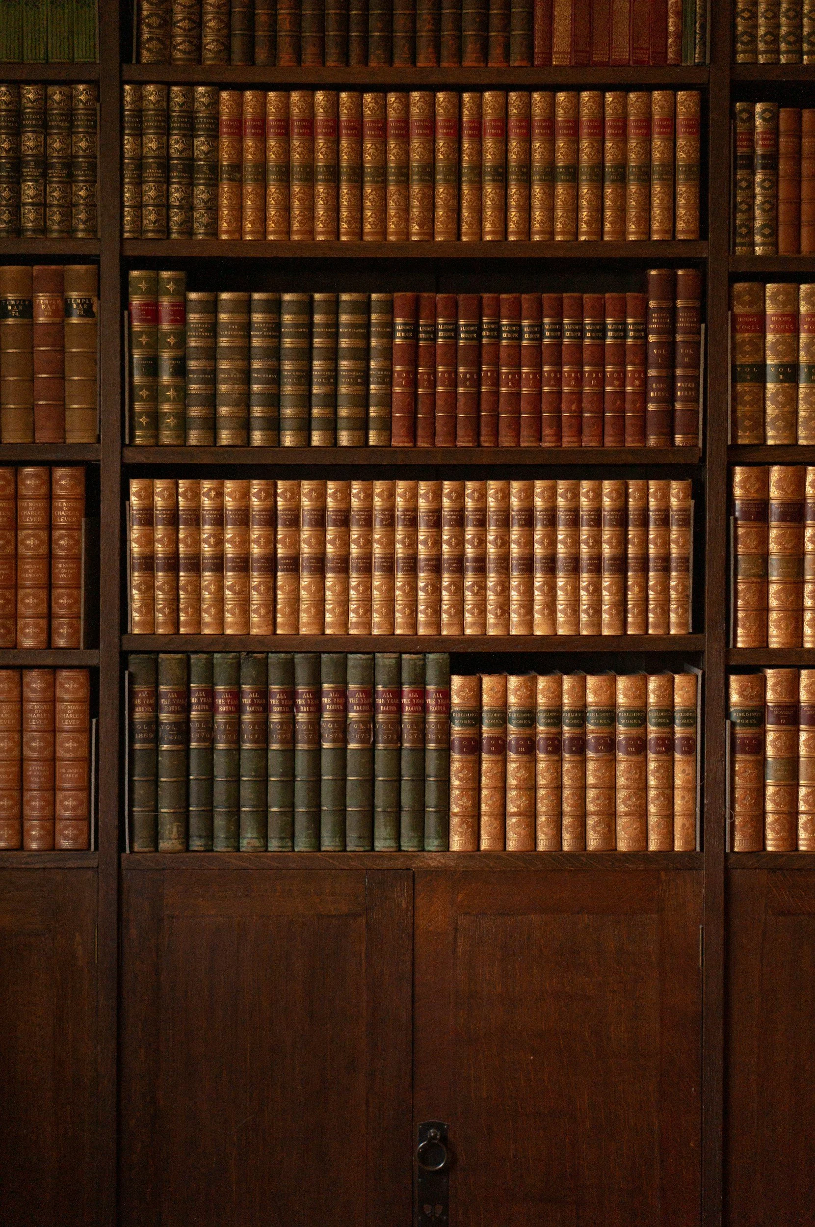 A wooden bookshelf filled with leather-bound books in various colors, arranged neatly in a library setting.