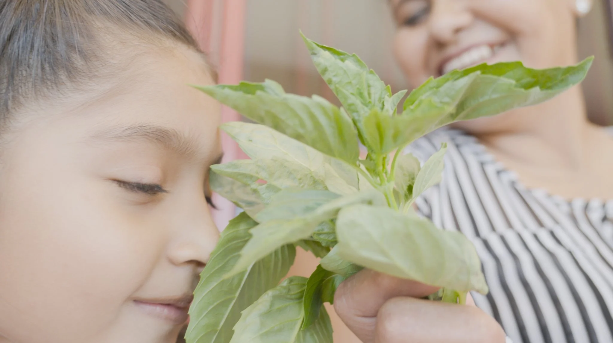Healing Childhood Wounds- November 17, 2026 @ 12noon PST