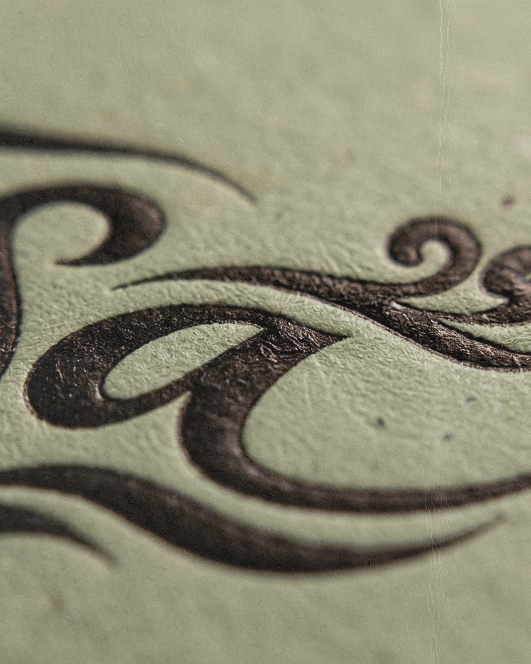 Close-up of ornate black swirl design on a textured light green background.