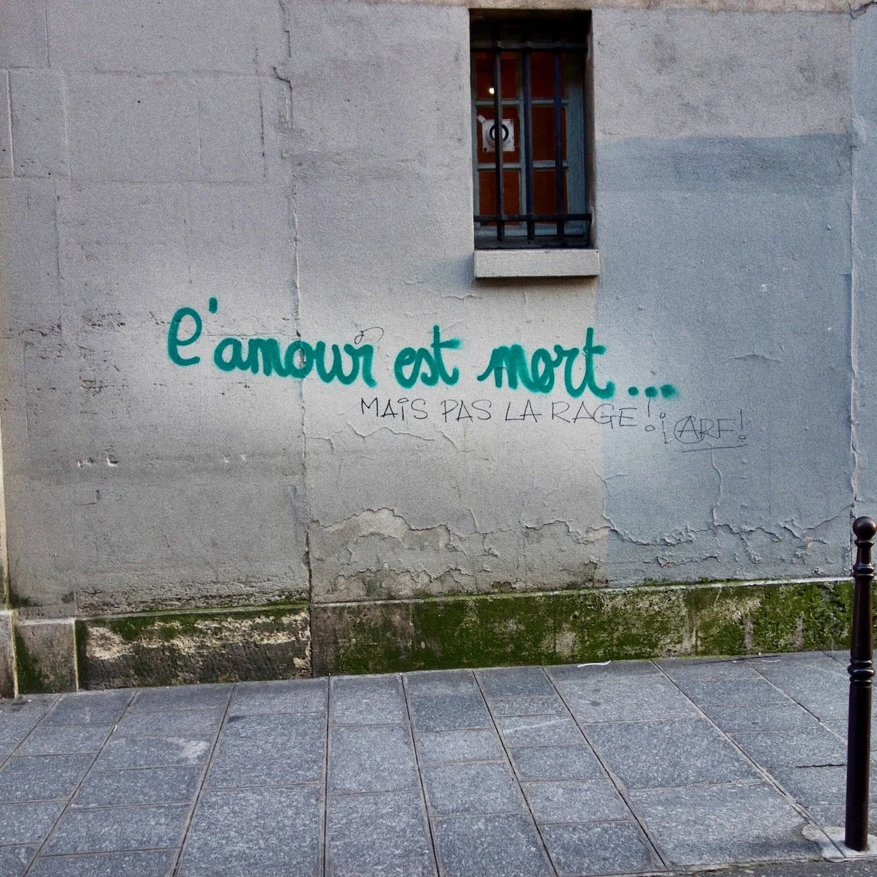 DSC02804.jpeg