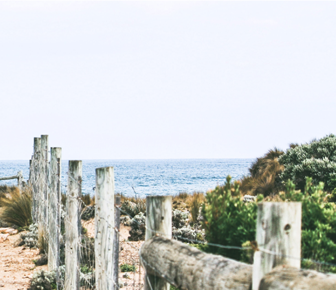 THE PROPHET AND THE KING | Dr Katie Haldane