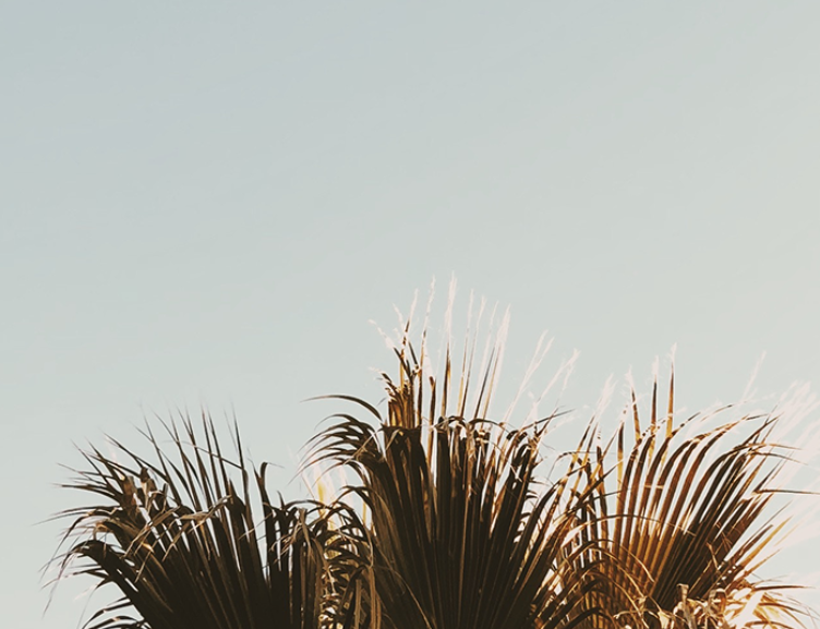 THE RIGHT PEOPLE AT THE RIGHT TIME | Dr Katie Haldane