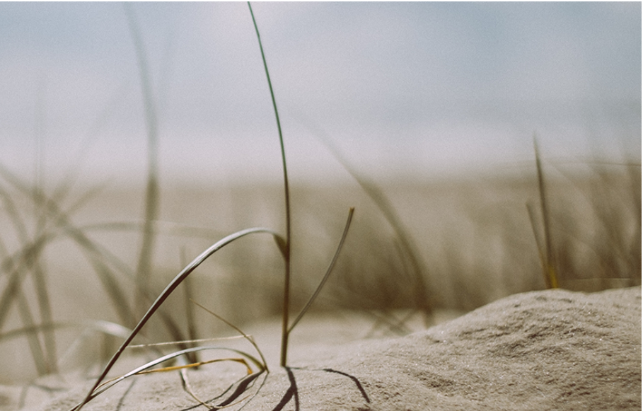 BUT I PRAYED – A LESSON IN PRAYER FROM NEHEMIAH | Dr Katie Haldane